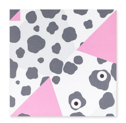 Origami de Animais +6 anos